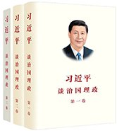 图片和音视频等多种文献类型